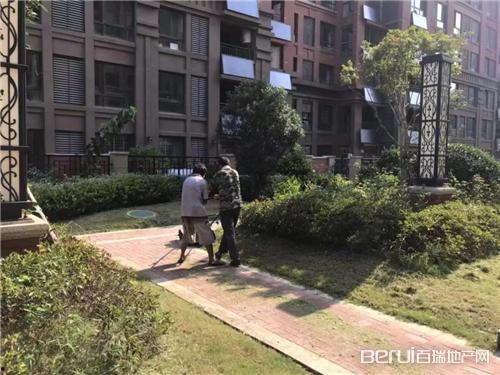 碧桂园物业爆料最新消息,揭秘项目动态与未来规划